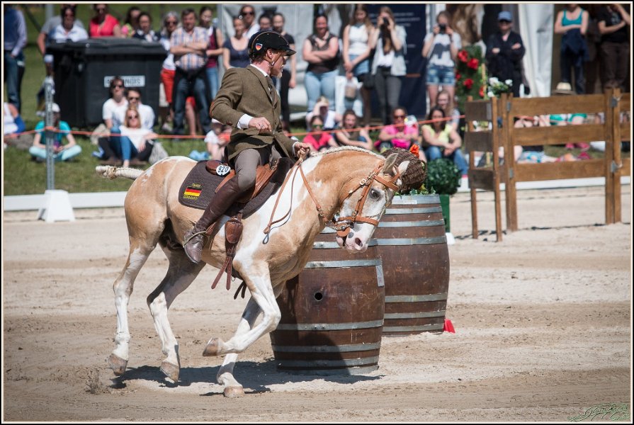 Pferd International 132